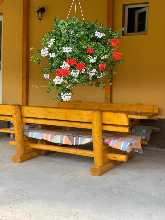 Casa Natalia Raisa Arieseni 호텔 외부 사진