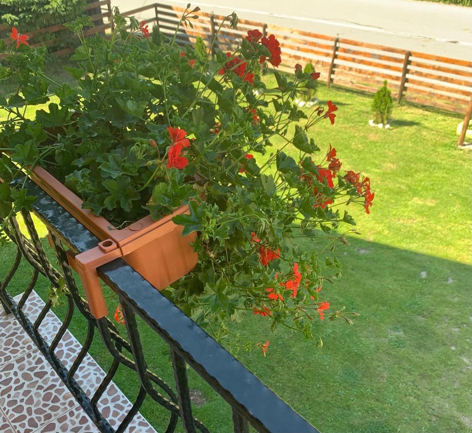 Casa Natalia Raisa Arieseni 호텔 외부 사진