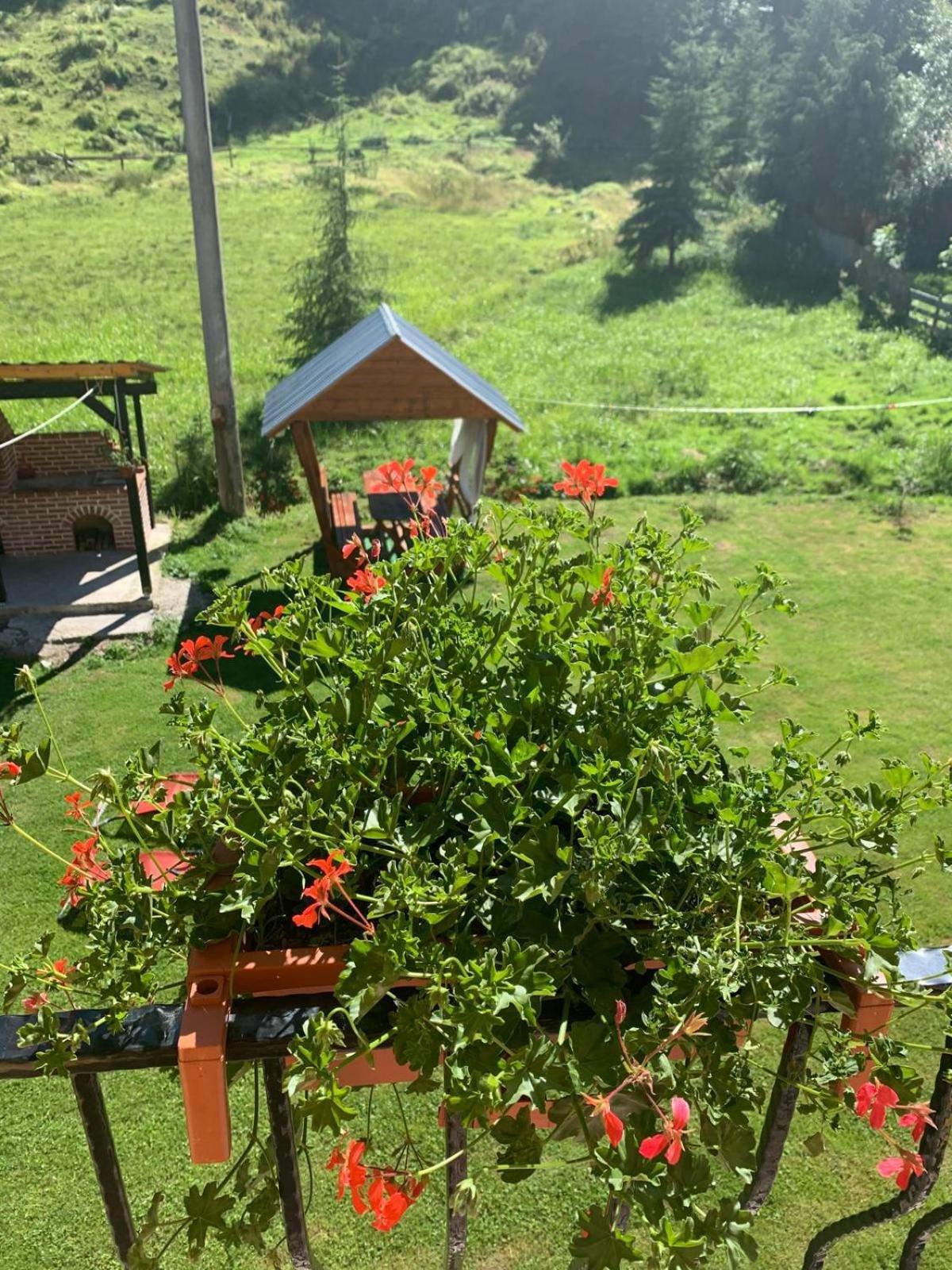 Casa Natalia Raisa Arieseni 호텔 외부 사진